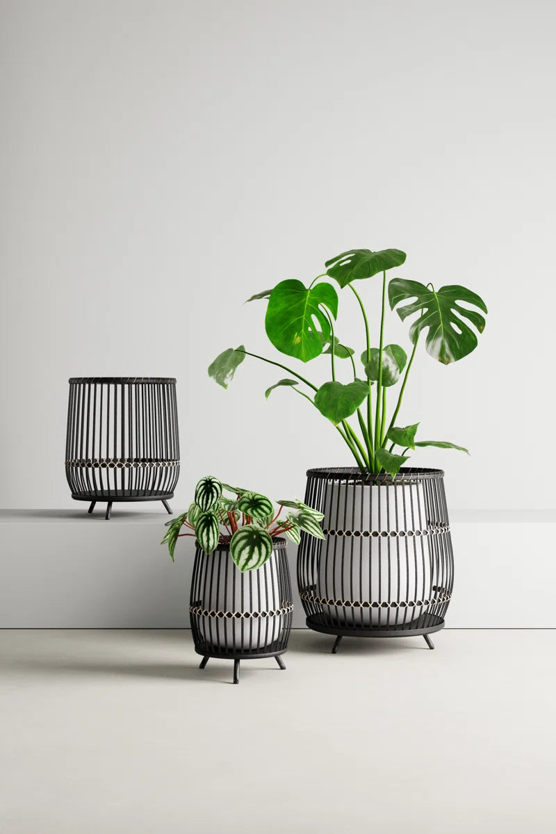 Wicker Modern Boho Bamboo Planter Set